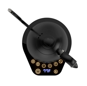 Tetera Electrica BREWISTA Artisan Electric Gooseneck Kettle - Cuello cisne
