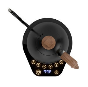 Tetera Electrica BREWISTA Artisan Electric Gooseneck Kettle - Cuello cisne