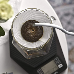 Tetera Electrica BREWISTA Artisan Electric Gooseneck Kettle - Cuello cisne