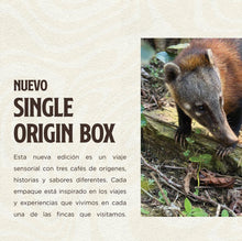 Cargar imagen en el visor de la galería, SABA Single Origin Box - Edición Especial 🌱☕️